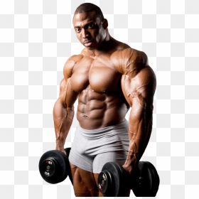 7 Best Bodybuilder Images On Pinterest, HD Png Download - bodybuilder png