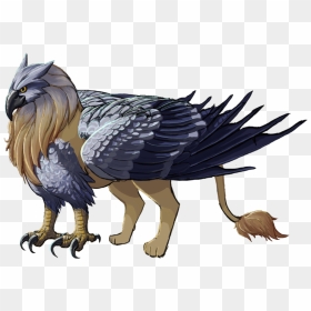 Griffin Png - Gryphon Png, Transparent Png - griffin png