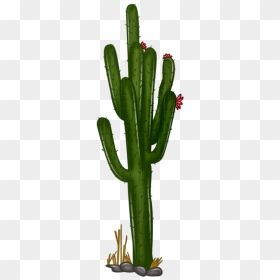 Cactus Clipart Png - Cactus Png, Transparent Png - cactus clipart png