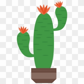 Cactus png graphic clipart design 19152625 PNG