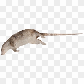 Dead Rat Transparent Background, HD Png Download - dead png