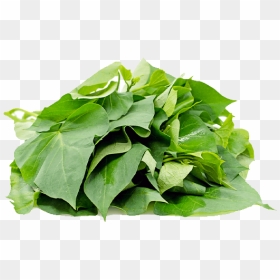 Sweet Potatoes Leaves Png, Transparent Png - laurel leaves png