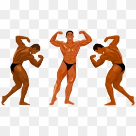 Bodybuilding Competition Clipart - Barechested, HD Png Download - bodybuilder png