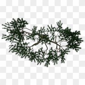 Arboles Png, Transparent Png - arboles png