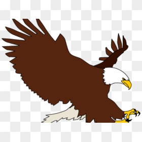 Bald Eagle Clipart Transparent Background - Interagency Security Committee, HD Png Download - eagle clipart png