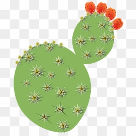 Tobias Cactus Clipart - Prickly Pear Cactus Drawing, HD Png Download - cactus clipart png