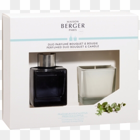 Candle, HD Png Download - eucalyptus png