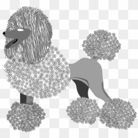 This Png File Is About Vector , French Poodle , Breed - Drawing, Transparent Png - poodle png