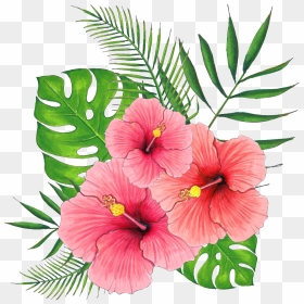 Hand Painted Summer Hibiscus Flower Png Transparent - Hawaiian Flowers Transparent Background, Png Download - hibiscus flower png