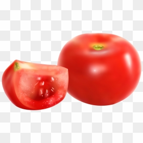 Tomato Png Image Free Download Searchpng - Plum Tomato, Transparent Png - tomato slice png