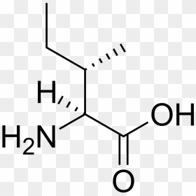 Methionine, HD Png Download - maple syrup png