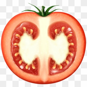 Tomato Transparent Clip Art - Half Of A Tomato, HD Png Download - tomato slice png