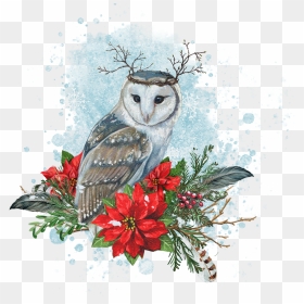 Seasonal Illustrations For Packaging And Merchandising - Barn Owl, HD Png Download - ovo owl png