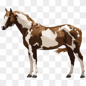 Horse & Pony Breeds With Fun Free Quizzes About Horse - Paint Horse Png, Transparent Png - mustang horse png
