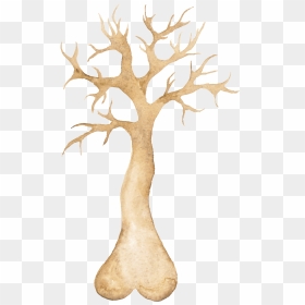 Png Transparente De Arboles Ornamentales - Illustration, Png Download - arboles png