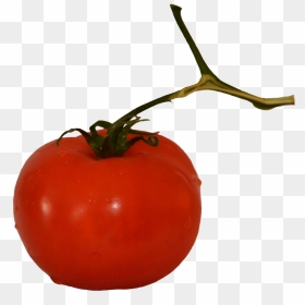 Tomato On Stem - Plum Tomato, HD Png Download - tomato slice png