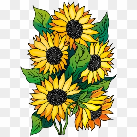 Sunflower Clipart - Sunflower, HD Png Download - sunflower clipart png