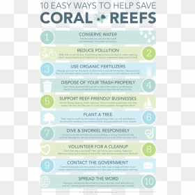 Save Coral Reefs - Keep Calm And Stay Reem, HD Png Download - coral reef png