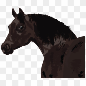 Horse - Stallion, HD Png Download - mustang horse png