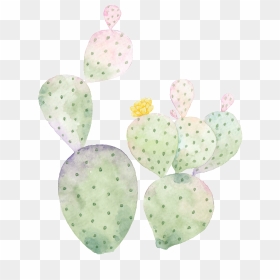 Hand Painted Cactus Png Transparent - Barbary Fig, Png Download - cactus clipart png