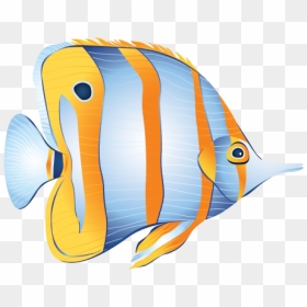 Coral Reef Fish, HD Png Download - coral reef png