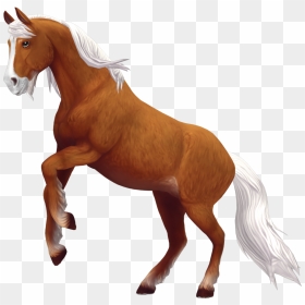 Starshine ☆ Meteor ☆ Tin-can - Tin Can Star Stable, HD Png Download - star shine png