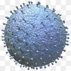 Gear, HD Png Download - corona bottle png
