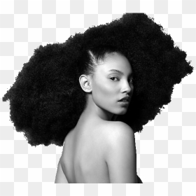 Free Black Hair PNG Images, HD Black Hair PNG Download - vhv