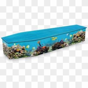 Coral Reef Coffin, HD Png Download - coral reef png