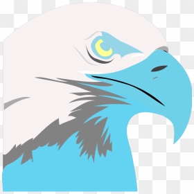 Light Blue Eagle Svg Clip Arts - Bald Eagle Clip Art, HD Png Download - eagle clipart png