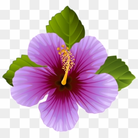 Purple Hibiscus Flower Clipart, HD Png Download - hibiscus flower png
