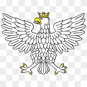 Eagle With A Crown, HD Png Download - eagle clipart png