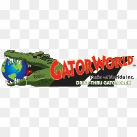 Kgs Gator World - Gatorworld Wildwood Fl, HD Png Download - gators logo png