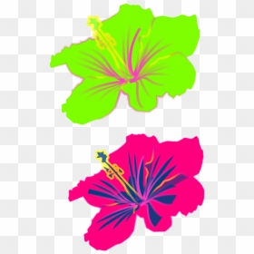 Hibiscus Flower - Hibiscus Clip Art, HD Png Download - hibiscus flower png