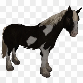 Horse Types Skyrim, HD Png Download - mustang horse png