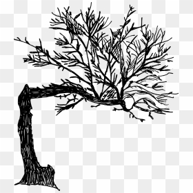 Old Drawn Tree Png, Transparent Png - tree drawing png