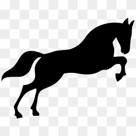 Horse - Free Download Horse Icons, HD Png Download - mustang horse png