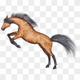 Horse, HD Png Download - mustang horse png