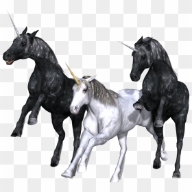 Unicorn Trio - Unicorn Trio Transparent Background, HD Png Download - unicorn silhouette png