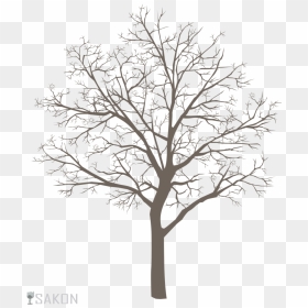 Trees Drawing Png - Portable Network Graphics, Transparent Png - tree drawing png