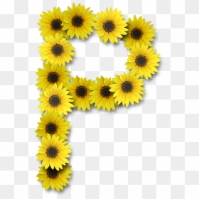 Alfabeto Sunflowers P Alpha Flowers Pinterest Alphabet - Letter P Sunflower Design, HD Png Download - sunflower clipart png