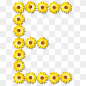 Sunflower Seed,chrysanths,plant - Flower Letter, HD Png Download - sunflower clipart png