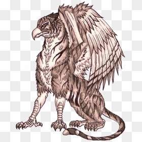 Google Search Fairytale Creatures, Griffins, Fairy - Tiger With Eagle Head, HD Png Download - griffin png