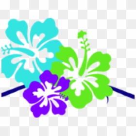Border Clipart Hibiscus - Hawaiian Flowers Clip Art Png, Transparent Png - border clipart png