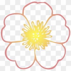 Poppy Clipart Coloring Page, HD Png Download - hibiscus flower png