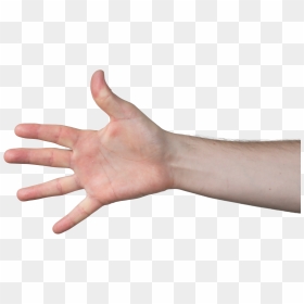 Arms Reaching Out Png - Human Palm Png, Transparent Png - hand reaching out png