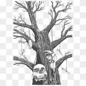 Collection Of Free Tree Drawing Depressing - Bones Hanging From A Tree, HD Png Download - tree drawing png