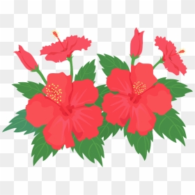 Hibiscus Flower Clipart - Hawaiian Hibiscus, HD Png Download - hibiscus flower png