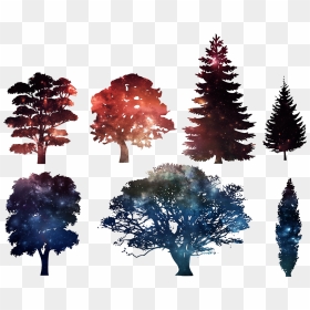 Tree Silhouette Drawing , Png Download - Draw A Tree Silhouette, Transparent Png - tree drawing png