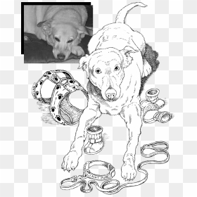 Maggie-collage - Line Art, HD Png Download - hand drawing png